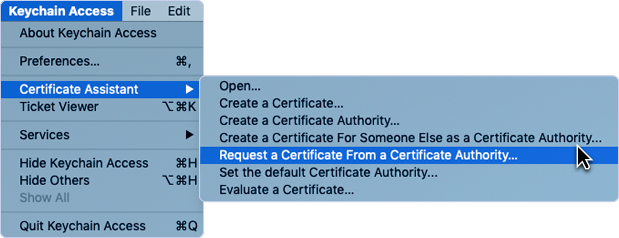 Image|Selecting Request a Certificate From a Certificate Authority to open Certificate Information dialog.